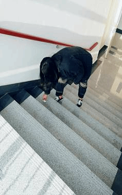 说明: 8988387B5BF66EE3CAD37783BB3F1B2C